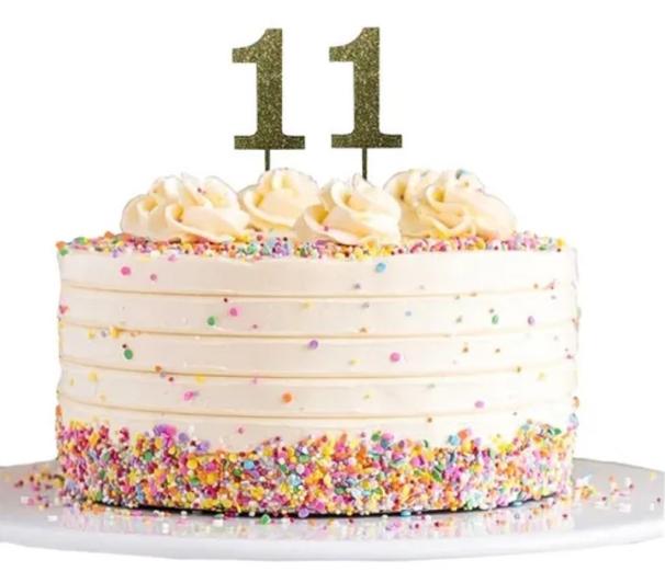 NAVEGANTESPREV 11 Anos